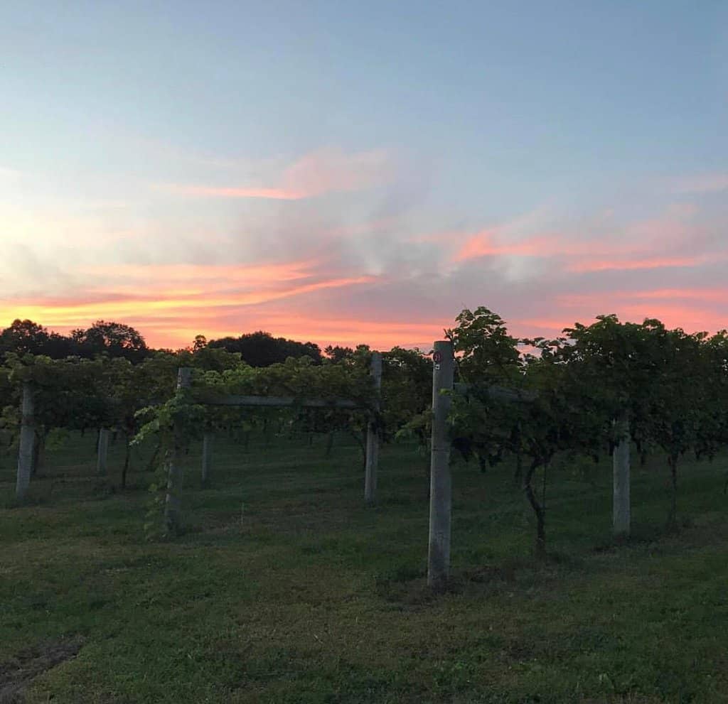 Picturesque Lake Waconia Views