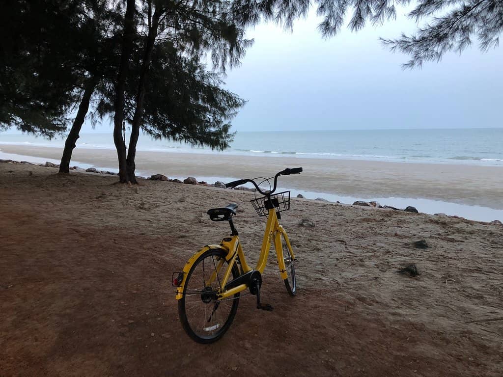 Family Fun Activities