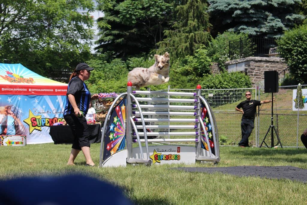 Community Events & Festivals