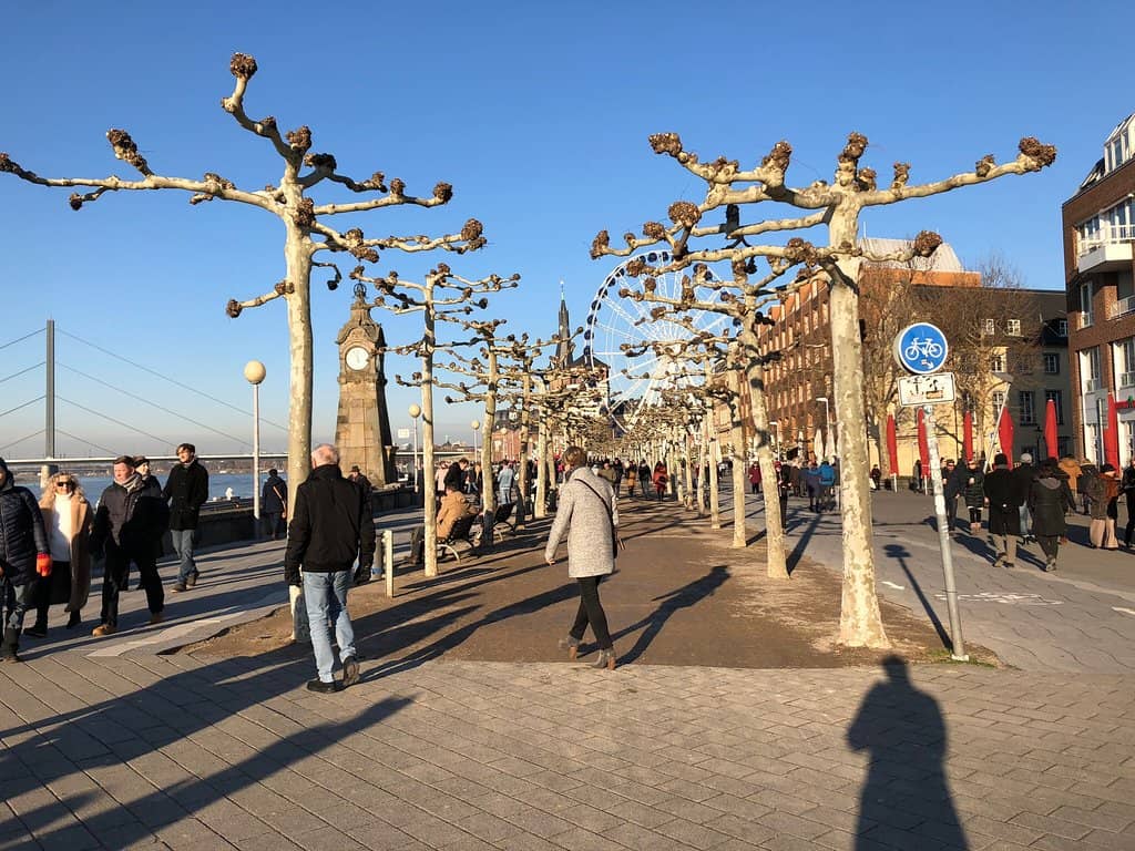 Christmas Market Magic