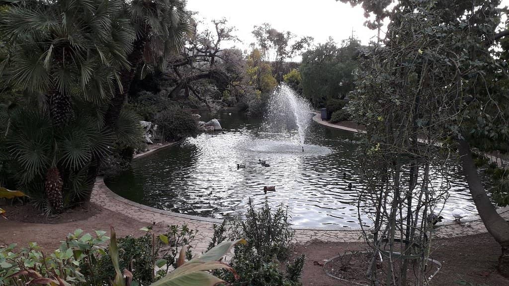 Vast Rose Collection