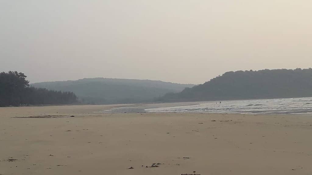 Rocky Patches & Greenery