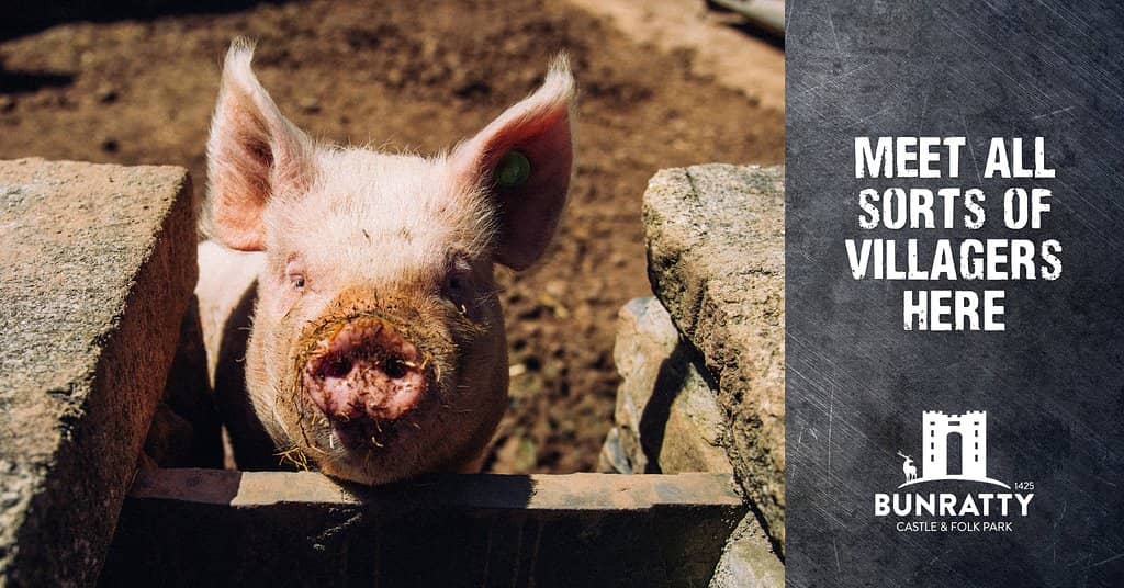 Bunratty Folk Park
