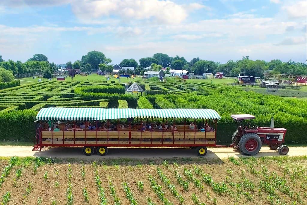 Musical Hayride