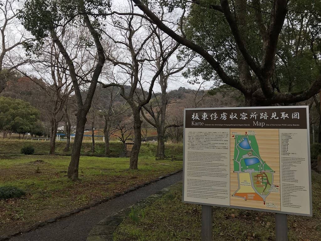 Scenic Park Setting