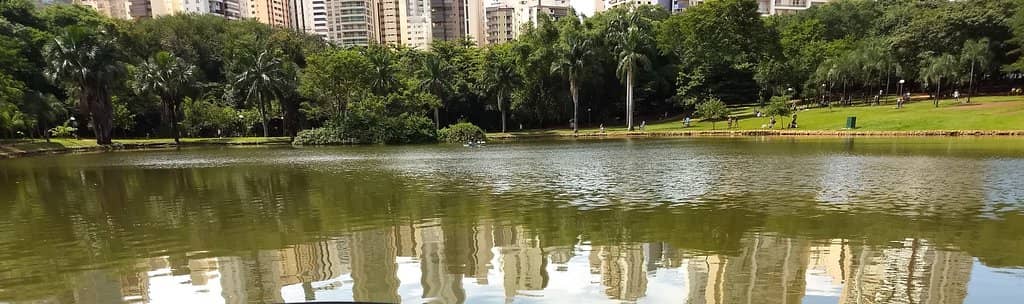 The Revitalized Fountain