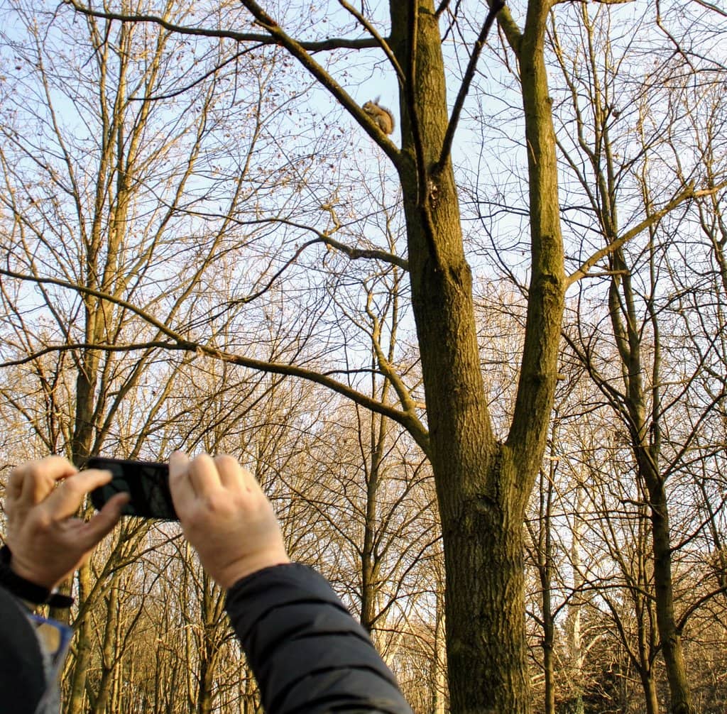 Walking & Cycling Paths