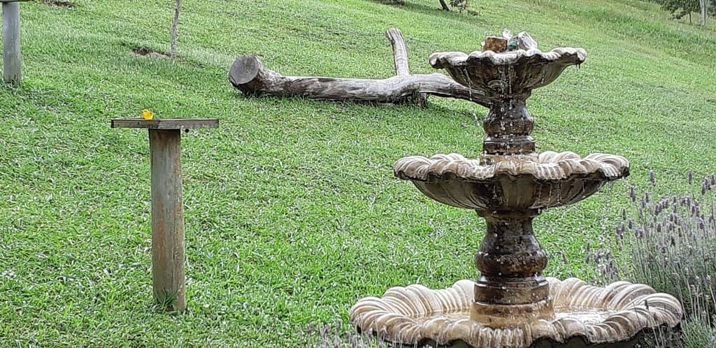 Balcony Coffee Views