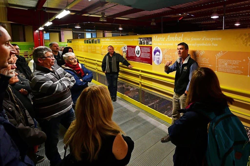 Guided Crémant Tasting