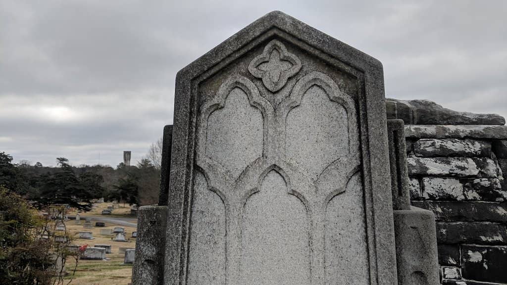 Rolling Hills and Wildlife