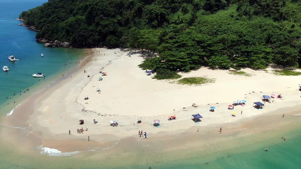 Local Seafood Delights