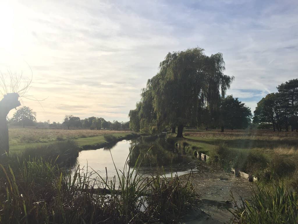 Diana Fountain & Water Gardens