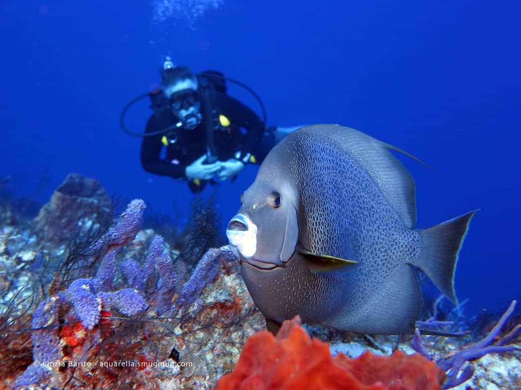 Devil's Throat Deep Dive