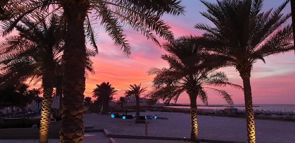 Vibrant Evening Brunch