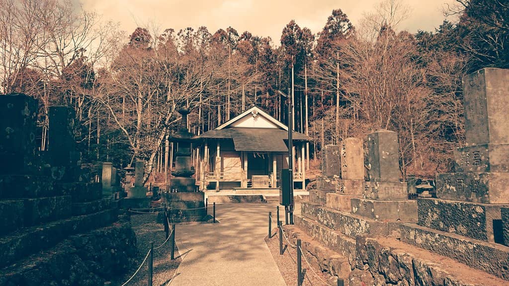 Guided Tours