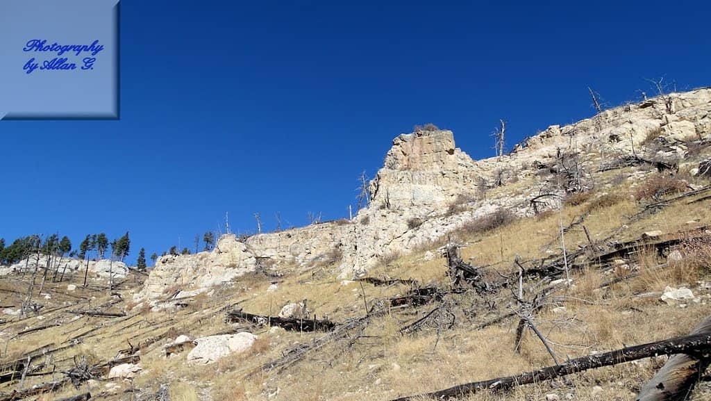 Mountain Goat Encounters