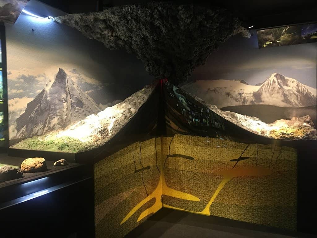 Expert-Led Guided Tours