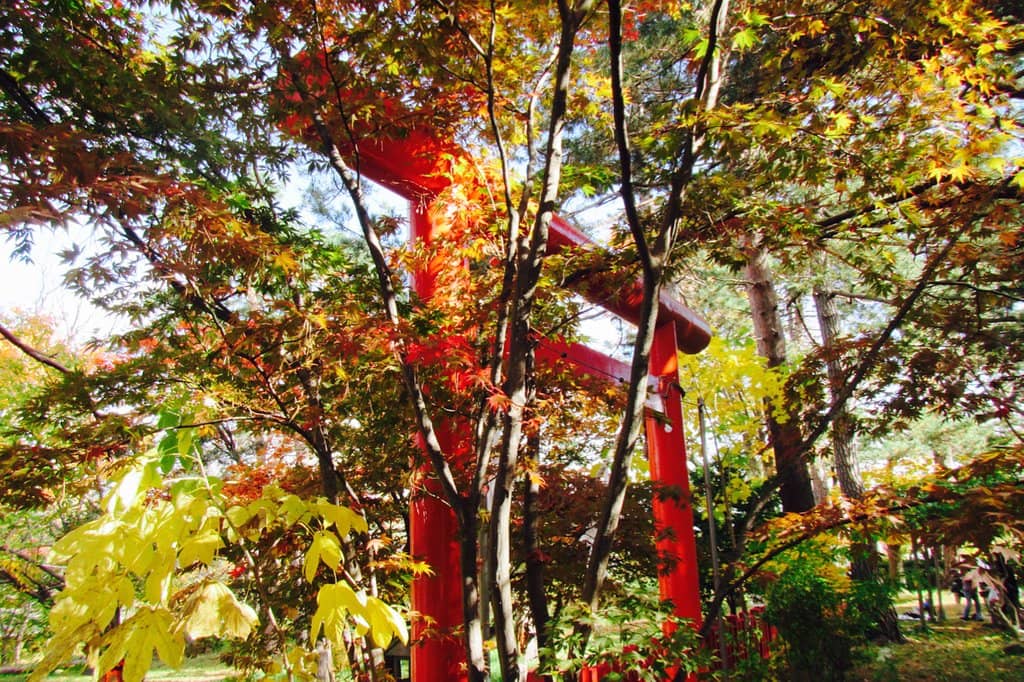 Thousand Torii Gates