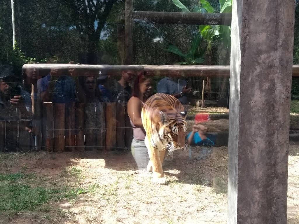 Primate Paradise