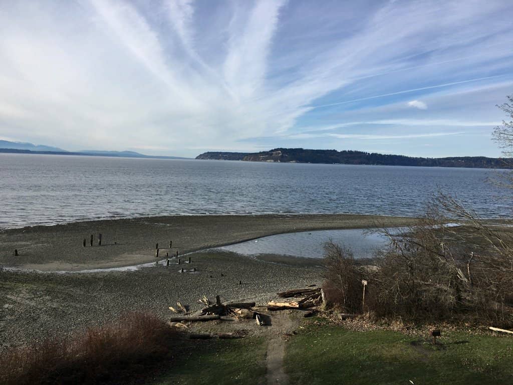 Beachcombing Adventures