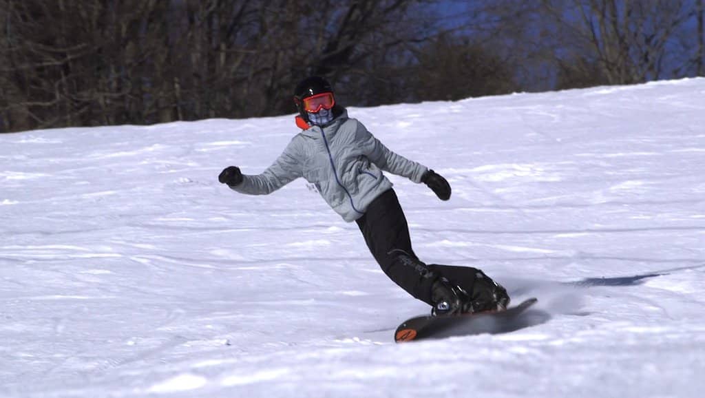 Horse-Drawn Sleigh Rides