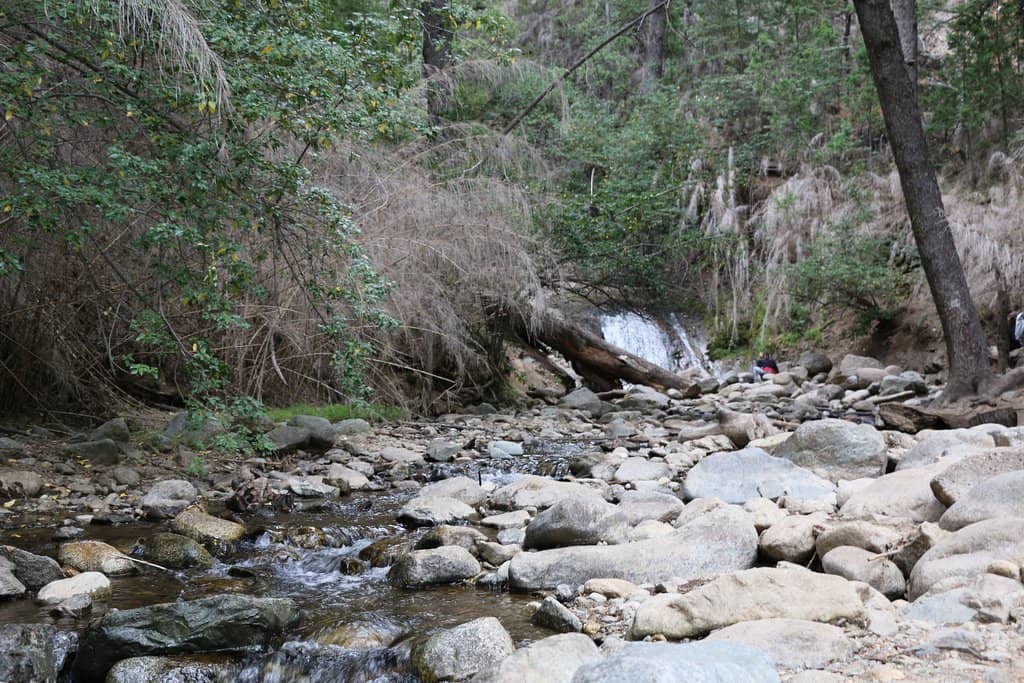 Lake Gutierrez Viewpoint