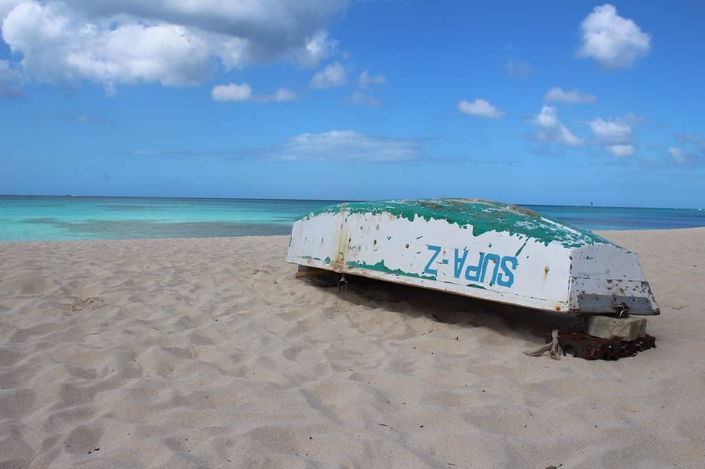 Marine Life Encounters