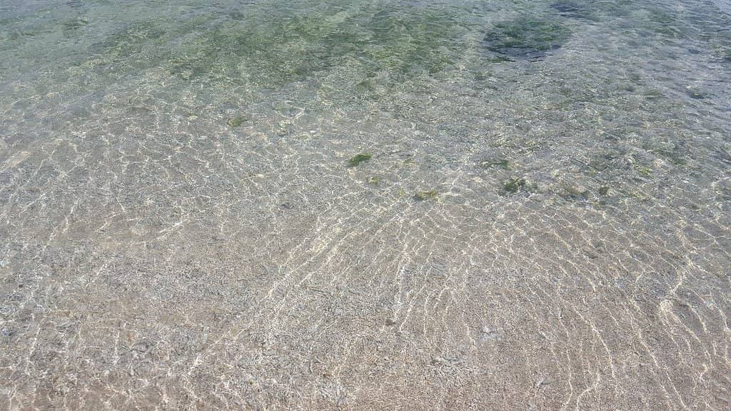 Tranquil Seclusion