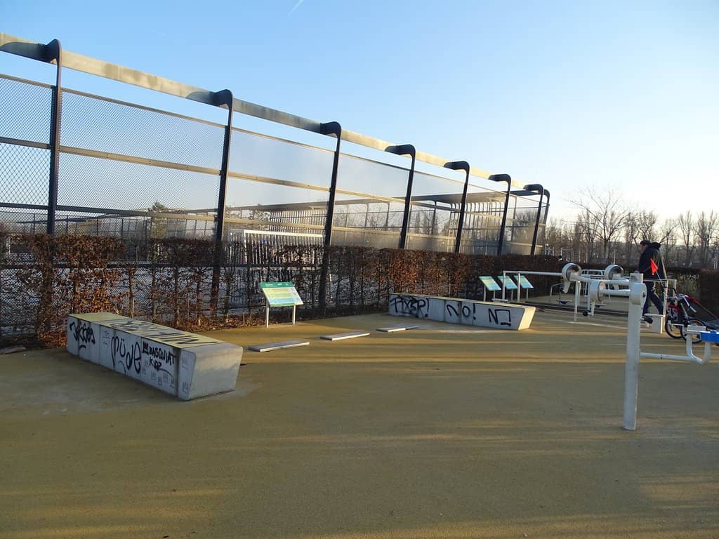 Vertical photo