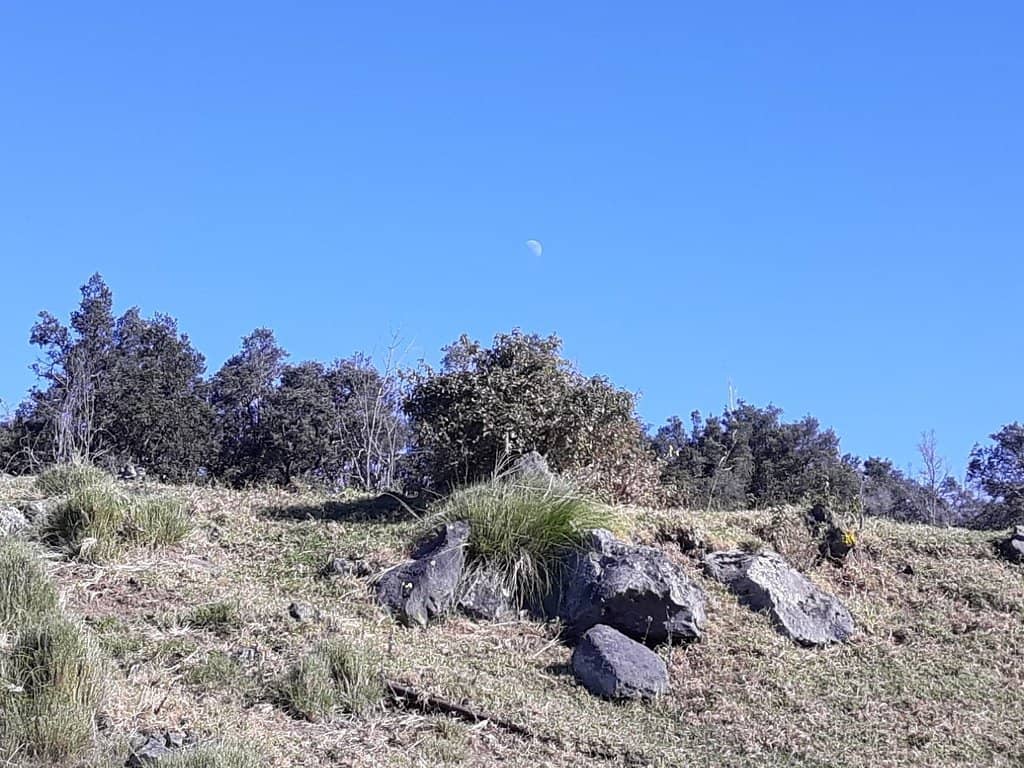 Hobbit Hike Scenery