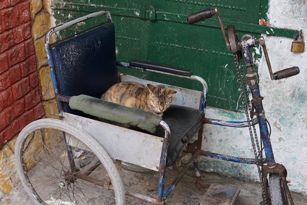 Rooftop Views at Sunset
