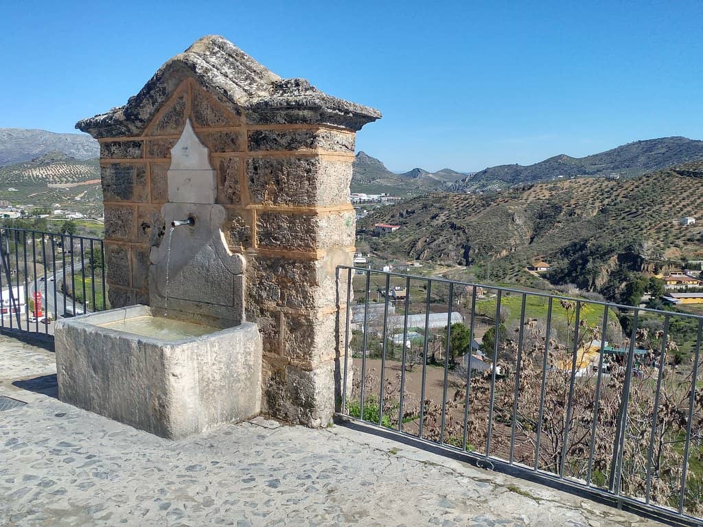 Vertical photo