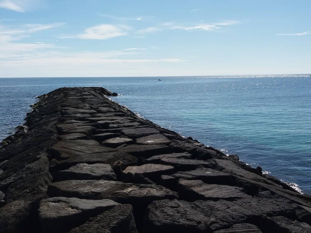 Rock Pool Discoveries