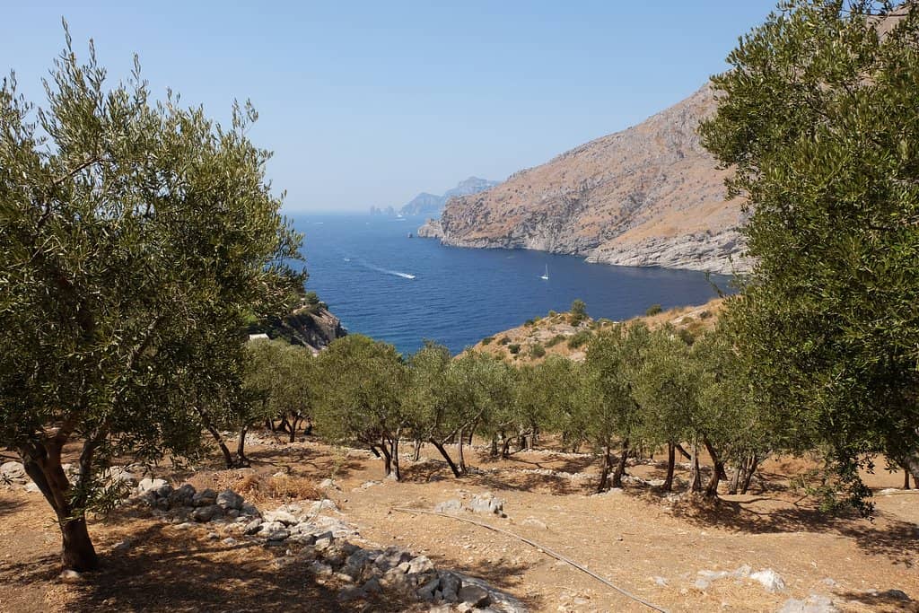 Panoramic Coastal Trail