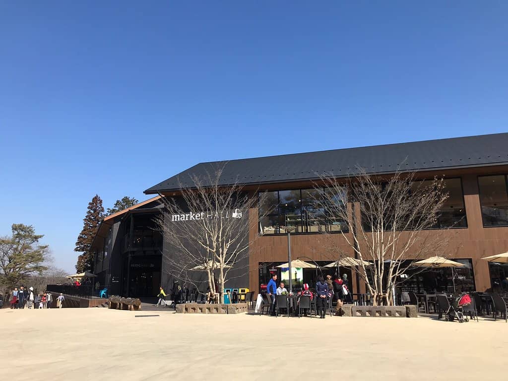 Scenic Lakeside Walk