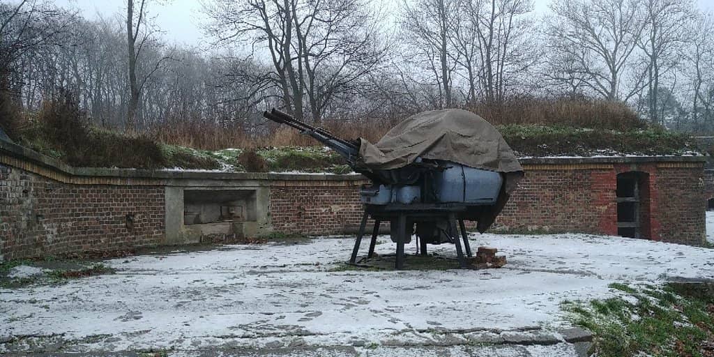 Diverse Military Exhibits