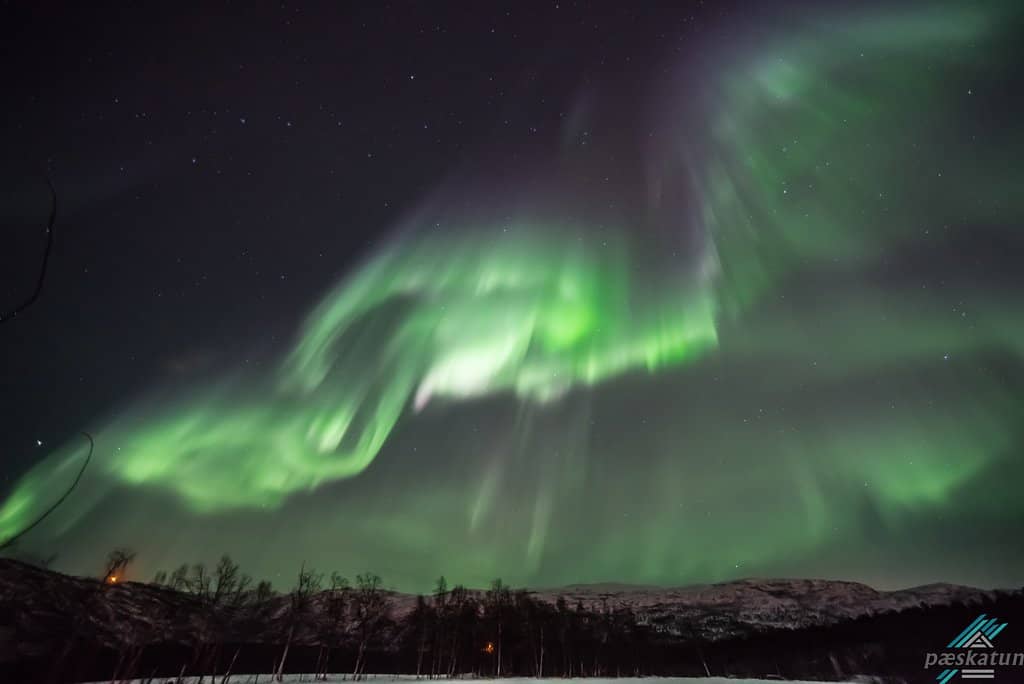 Northern Lights Viewing