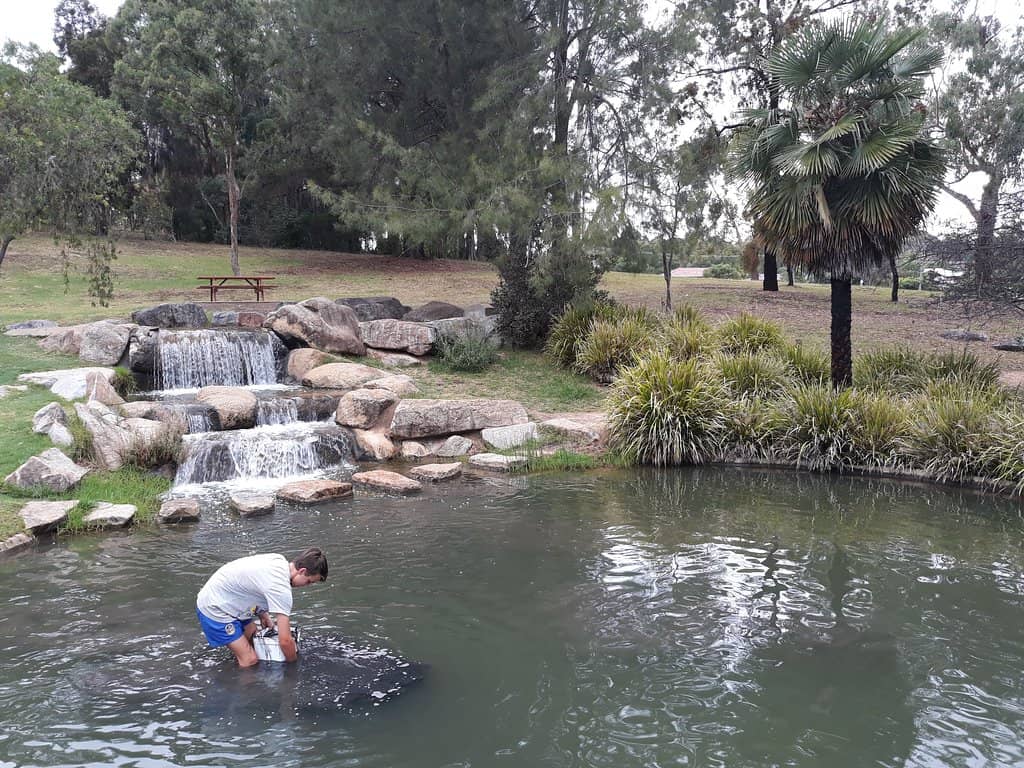Picnic & BBQ Facilities