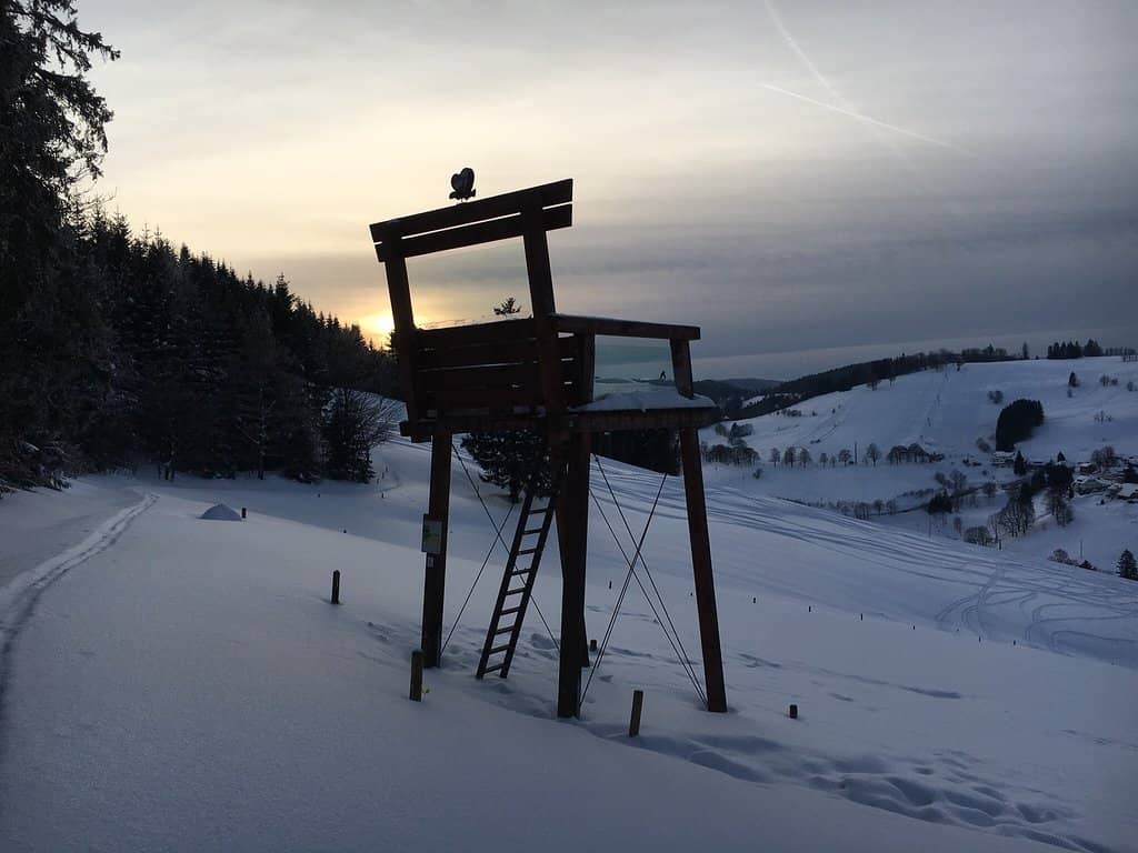 Introductory Biathlon Course