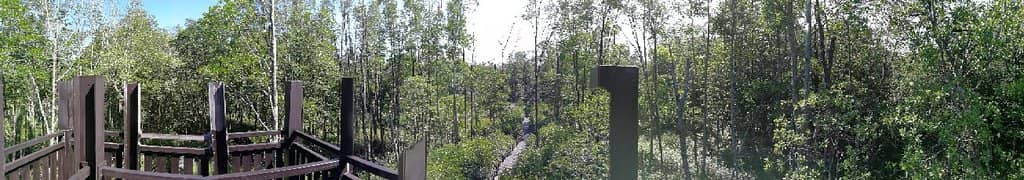 Engaging & Entertaining Captain