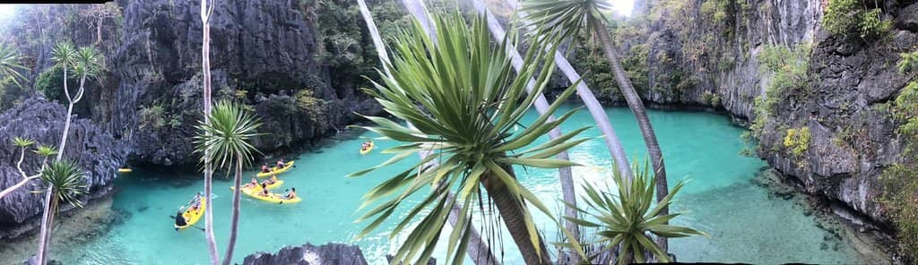 Vertical photo