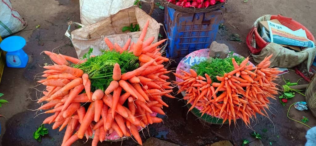 Horseback Riding Adventure