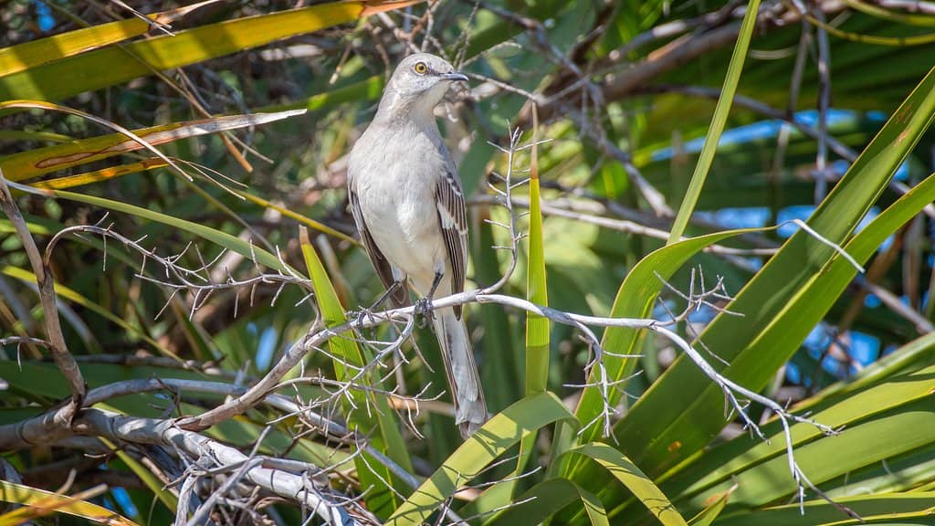 Nature Trails & Wildlife