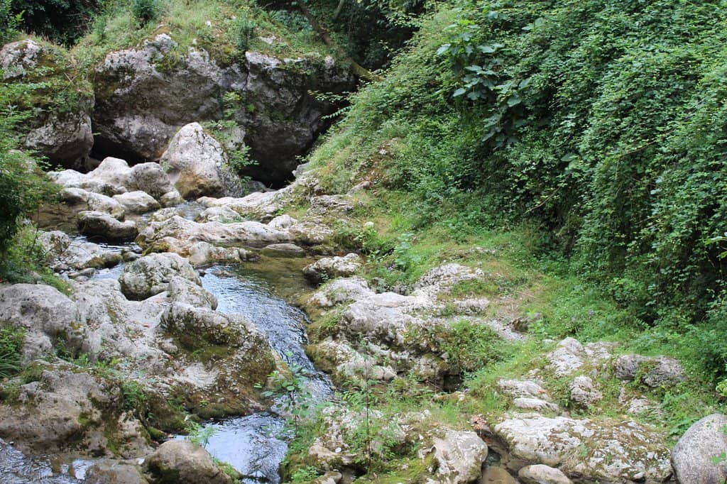 Waterfall Swimming