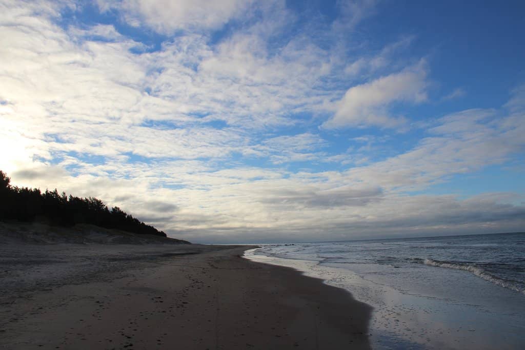 Vast Sandy Shores