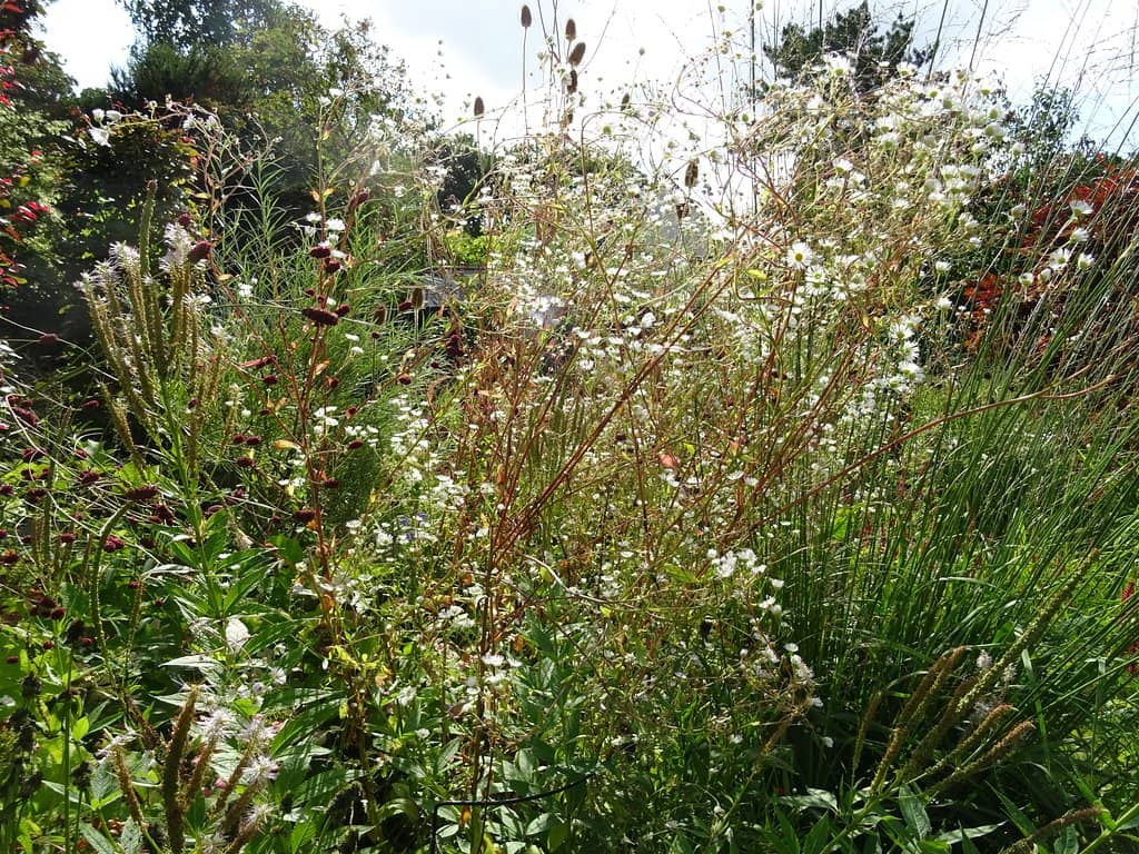 Artistic Installations