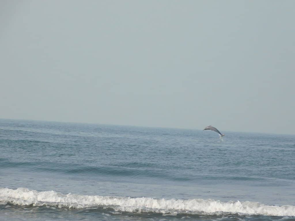 Murud Janjira Fort