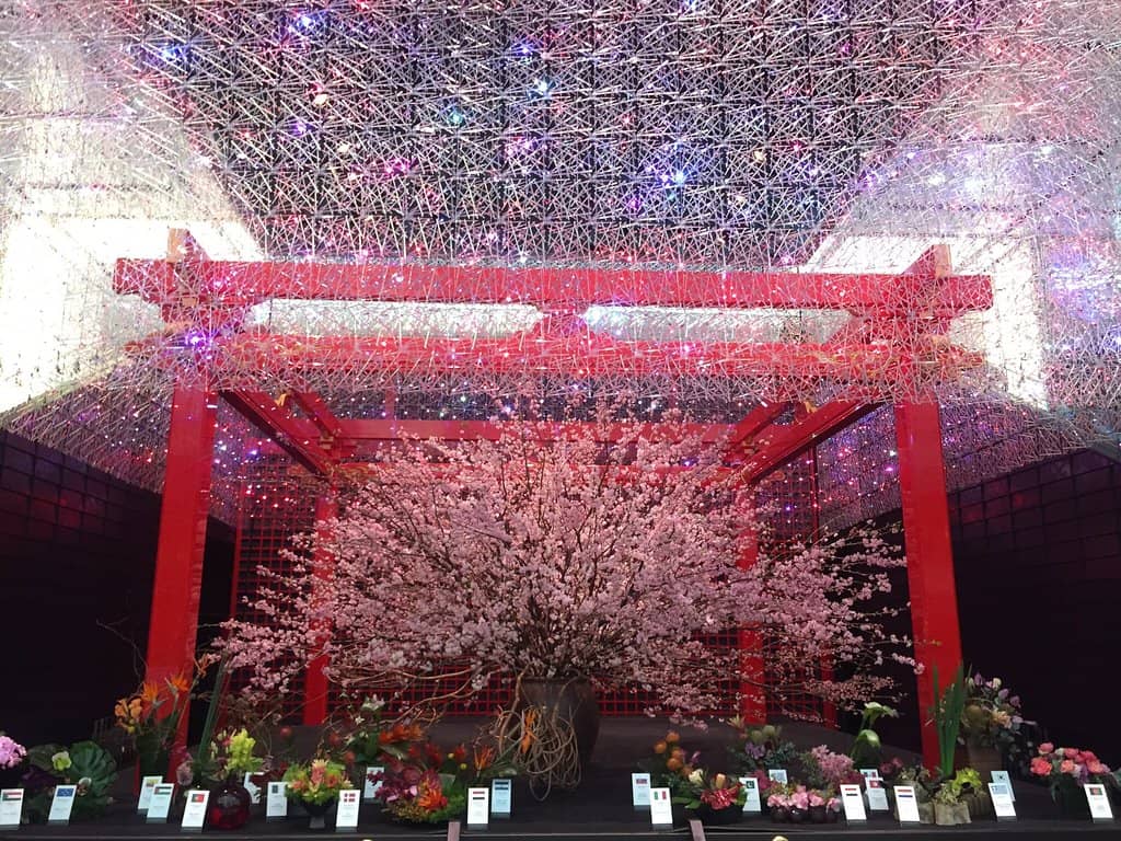 Direct Flight Destinations