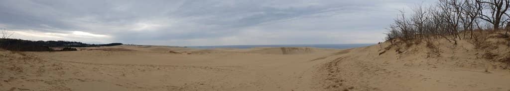 Ocean Vista
