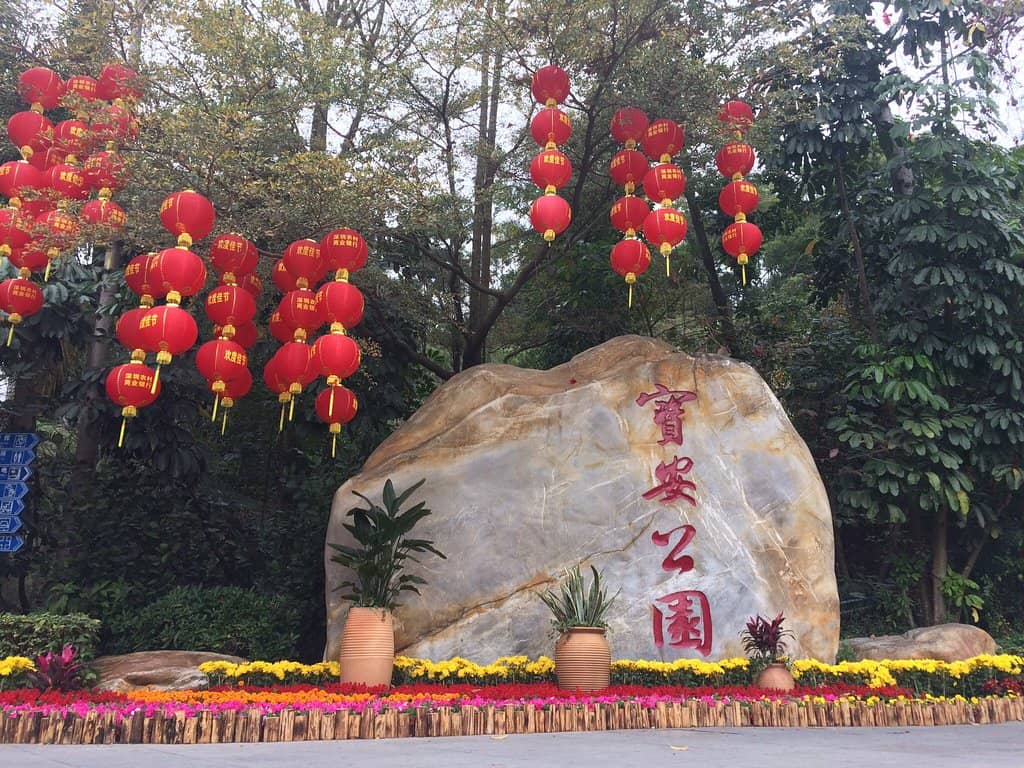 Domestic Departure Area